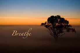 breathe banner with a tree in the background